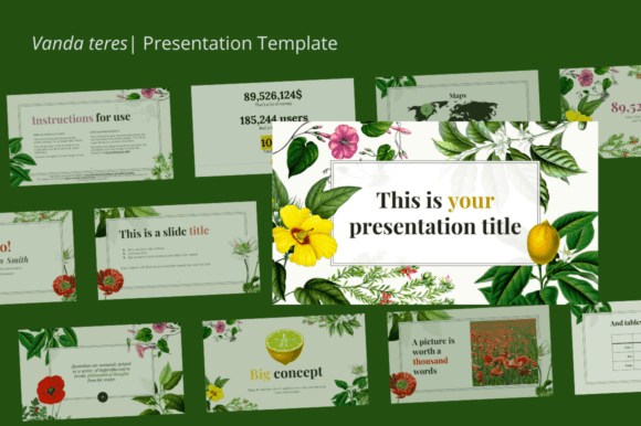 Vanda Teres: A Practical Guide to This Versatile Presentation Template